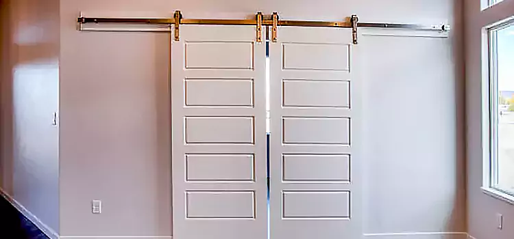 Glass Barn Door with Installation Hardware Kit Sarasota